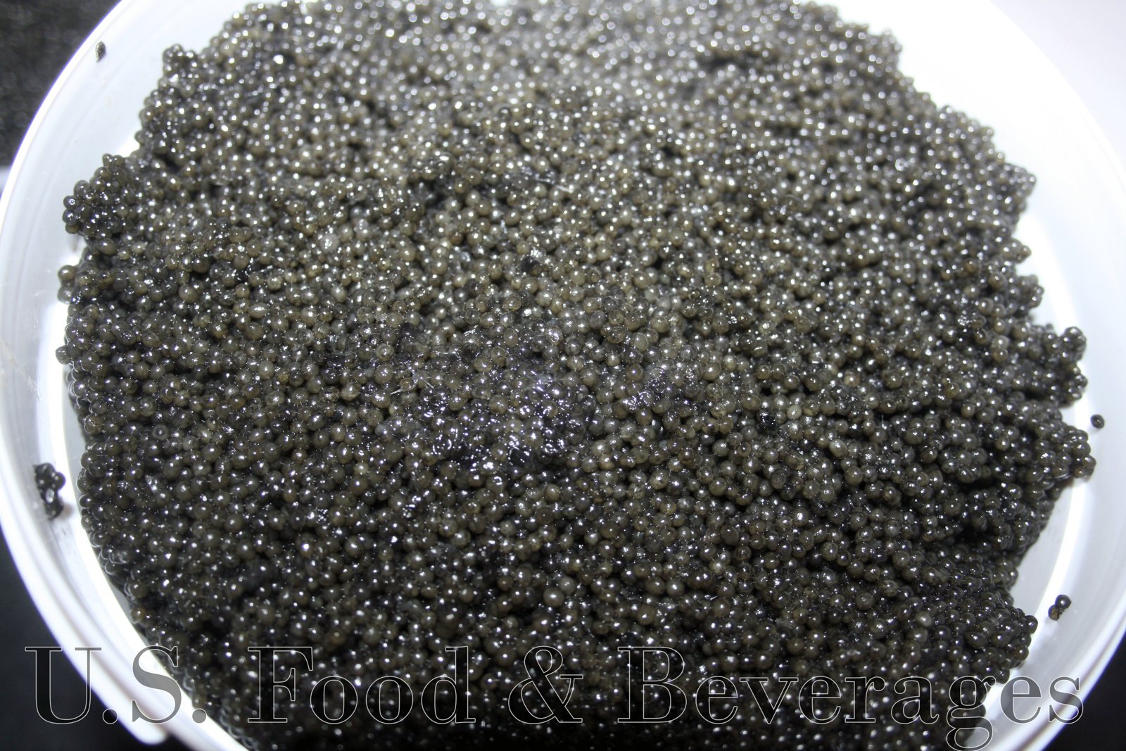 Paddlefish Sturgeon Black Caviar